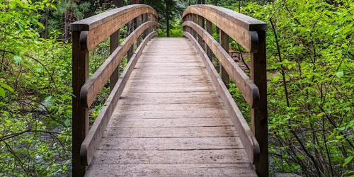 Journée de la Terre Mère #1 - La GÉOBIOLOGIE, un autre regard sur la terre, l'univers et le vivant